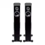 Напольная акустика AUDIO PHYSIC TEMPO 25 Black Ash